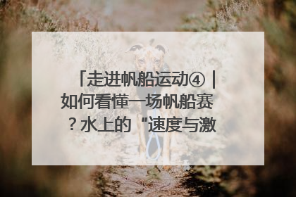 走进帆船运动④｜如何看懂一场帆船赛？水上的“速度与激情”同样精彩