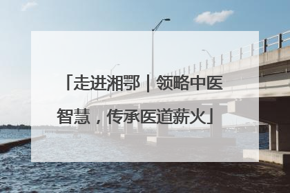 走进湘鄂｜领略中医智慧，传承医道薪火