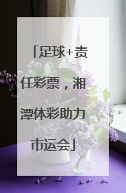 足球+责任彩票，湘潭体彩助力市运会