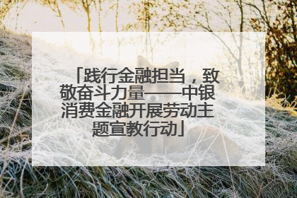 践行金融担当，致敬奋斗力量——中银消费金融开展劳动主题宣教行动