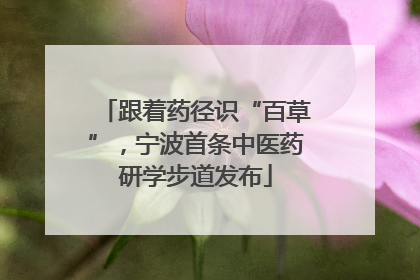 跟着药径识“百草”，宁波首条中医药研学步道发布