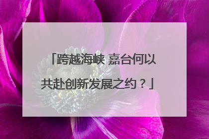 跨越海峡 嘉台何以共赴创新发展之约？