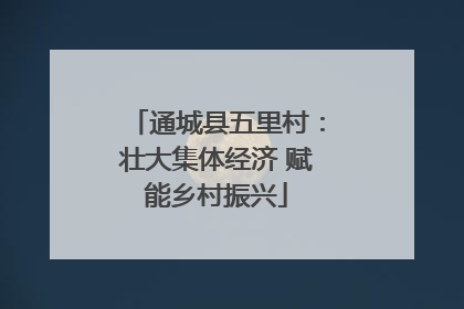 通城县五里村：壮大集体经济 赋能乡村振兴
