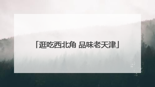 逛吃西北角 品味老天津