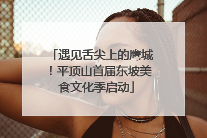 遇见舌尖上的鹰城！平顶山首届东坡美食文化季启动