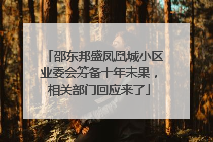 邵东邦盛凤凰城小区业委会筹备十年未果，相关部门回应来了