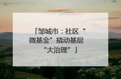 邹城市：社区“微基金”撬动基层“大治理”