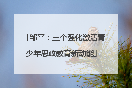 邹平：三个强化激活青少年思政教育新动能