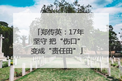 郑传英：17年坚守 把“伤口”变成“责任田”