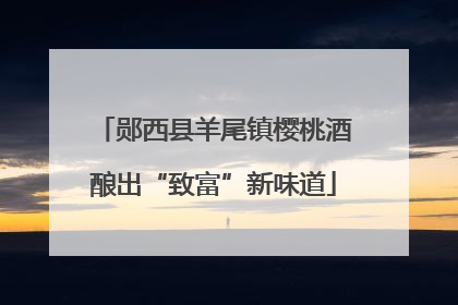 郧西县羊尾镇樱桃酒酿出“致富”新味道