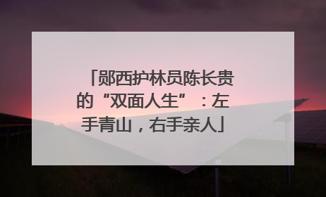 郧西护林员陈长贵的“双面人生”：左手青山，右手亲人