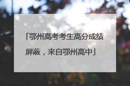 鄂州高考考生高分成绩屏蔽，来自鄂州高中