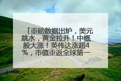 重磅数据出炉，美元跳水，黄金拉升！中概股大涨！英伟达涨超4%，市值重返全球第一！黄仁勋计划出售至多600万股股票