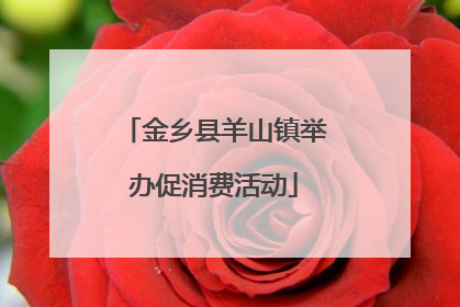 金乡县羊山镇举办促消费活动