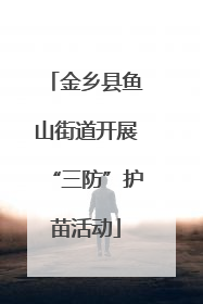 金乡县鱼山街道开展“三防”护苗活动