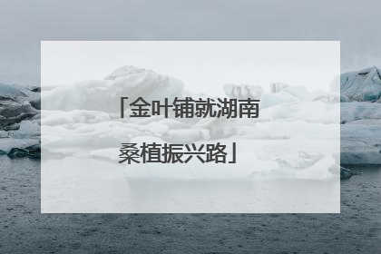 金叶铺就湖南桑植振兴路