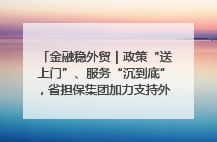 金融稳外贸｜政策“送上门”、服务“沉到底”，省担保集团加力支持外经贸高质量发展