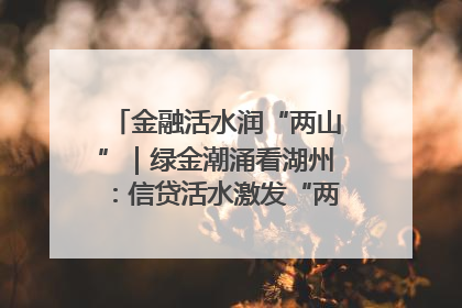 金融活水润“两山”｜绿金潮涌看湖州：信贷活水激发“两山”转化势能