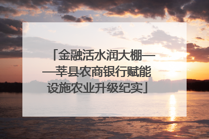 金融活水润大棚——莘县农商银行赋能设施农业升级纪实