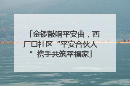 金锣敲响平安曲，西厂口社区“平安合伙人”携手共筑幸福家