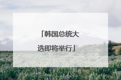 韩国总统大选即将举行
