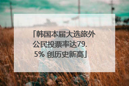 韩国本届大选旅外公民投票率达79.5% 创历史新高