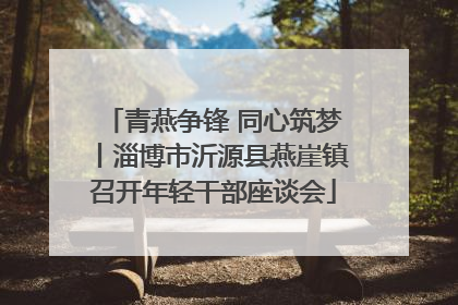 青燕争锋 同心筑梦丨淄博市沂源县燕崖镇召开年轻干部座谈会