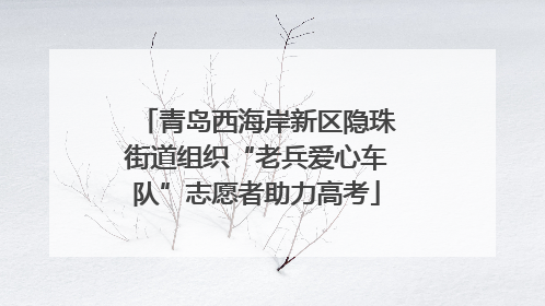 青岛西海岸新区隐珠街道组织“老兵爱心车队”志愿者助力高考