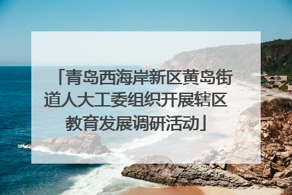 青岛西海岸新区黄岛街道人大工委组织开展辖区教育发展调研活动