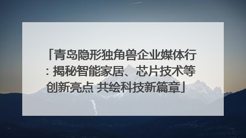 青岛隐形独角兽企业媒体行：揭秘智能家居、芯片技术等创新亮点 共绘科技新篇章