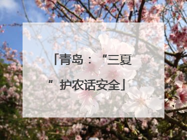 青岛：“三夏”护农话安全