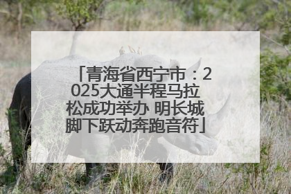 青海省西宁市：2025大通半程马拉松成功举办 明长城脚下跃动奔跑音符