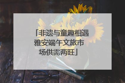 非遗与童趣相遇 雅安端午文旅市场供需两旺