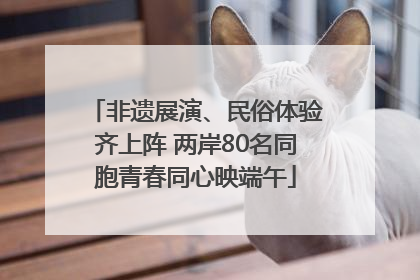 非遗展演、民俗体验齐上阵 两岸80名同胞青春同心映端午