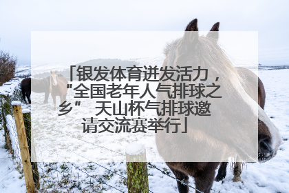 银发体育迸发活力，“全国老年人气排球之乡” 天山杯气排球邀请交流赛举行