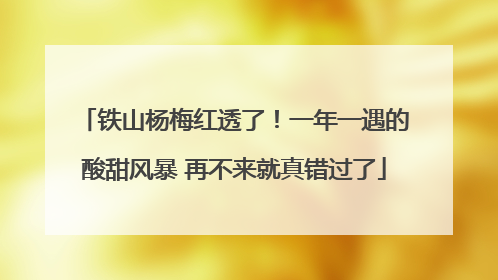 铁山杨梅红透了！一年一遇的酸甜风暴 再不来就真错过了