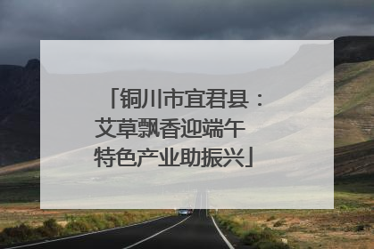 铜川市宜君县：艾草飘香迎端午 特色产业助振兴