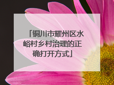 铜川市耀州区水峪村乡村治理的正确打开方式