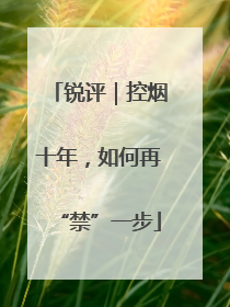 锐评｜控烟十年，如何再“禁”一步