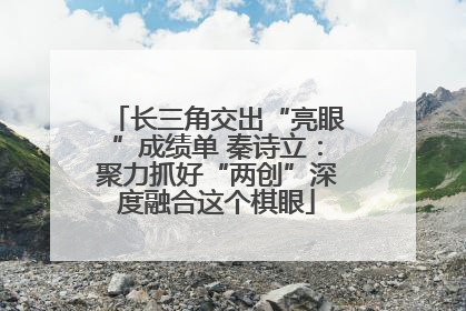长三角交出“亮眼”成绩单 秦诗立：聚力抓好“两创”深度融合这个棋眼