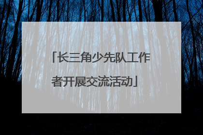 长三角少先队工作者开展交流活动