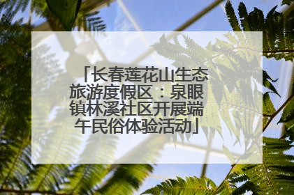 长春莲花山生态旅游度假区：泉眼镇林溪社区开展端午民俗体验活动