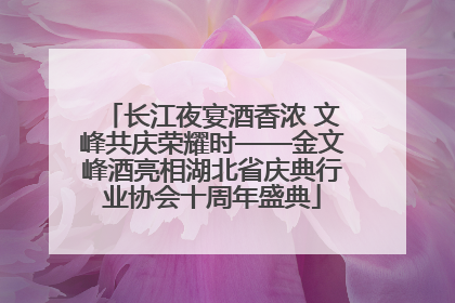 长江夜宴酒香浓 文峰共庆荣耀时——金文峰酒亮相湖北省庆典行业协会十周年盛典