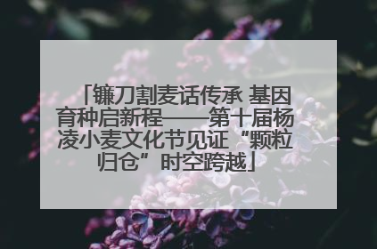 镰刀割麦话传承 基因育种启新程——第十届杨凌小麦文化节见证“颗粒归仓”时空跨越