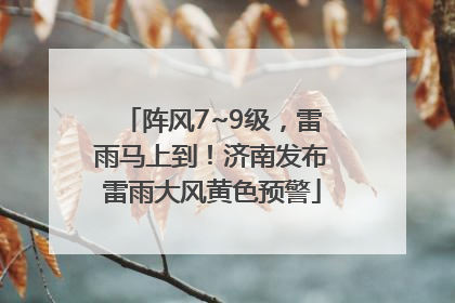 阵风7~9级，雷雨马上到！济南发布雷雨大风黄色预警