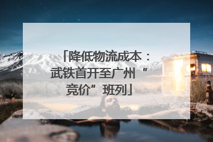 降低物流成本：武铁首开至广州“竞价”班列