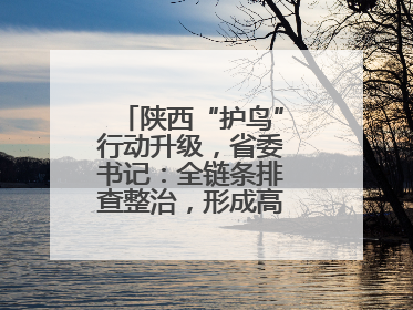 陕西“护鸟”行动升级，省委书记：全链条排查整治，形成高压震慑态势