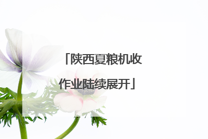 陕西夏粮机收作业陆续展开