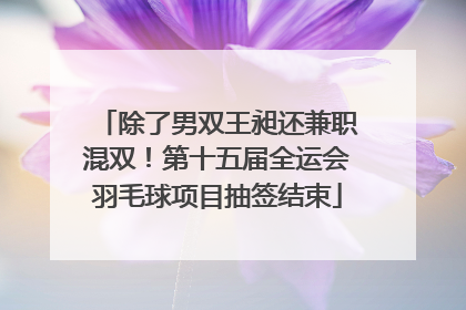 除了男双王昶还兼职混双！第十五届全运会羽毛球项目抽签结束