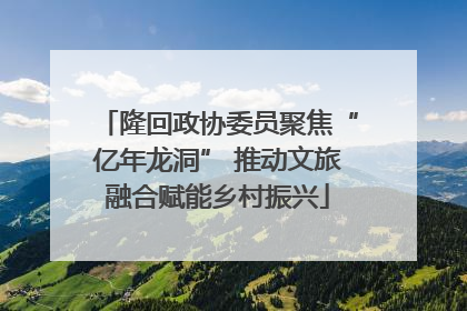 隆回政协委员聚焦“亿年龙洞” 推动文旅融合赋能乡村振兴